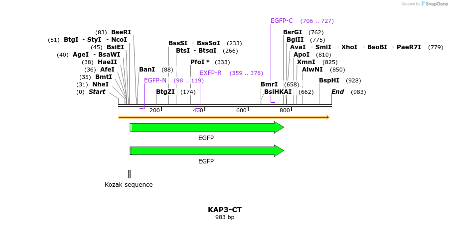 79778_map