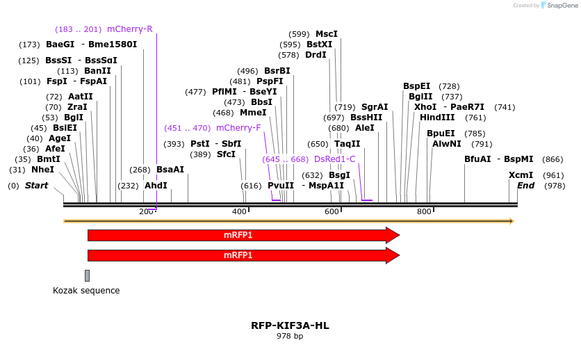 79780_map