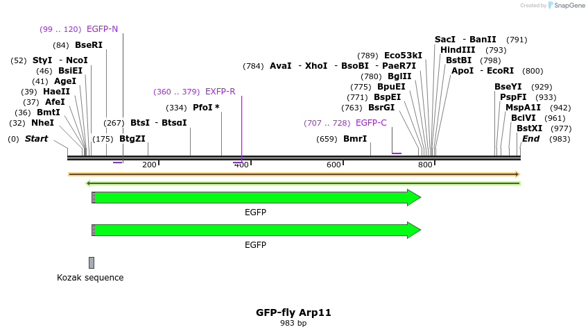 79784_map