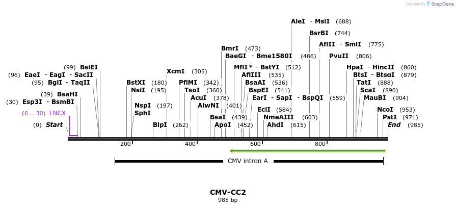 79785_map