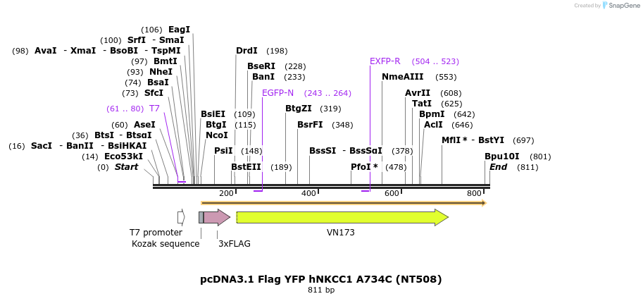 79793_map