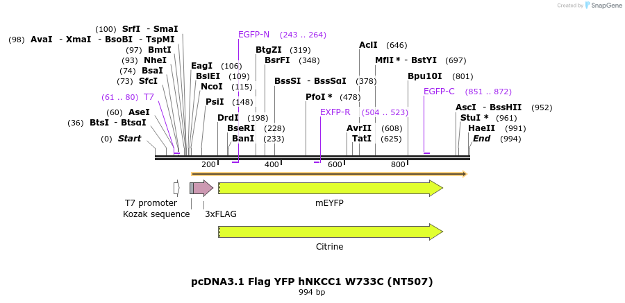 79795_map