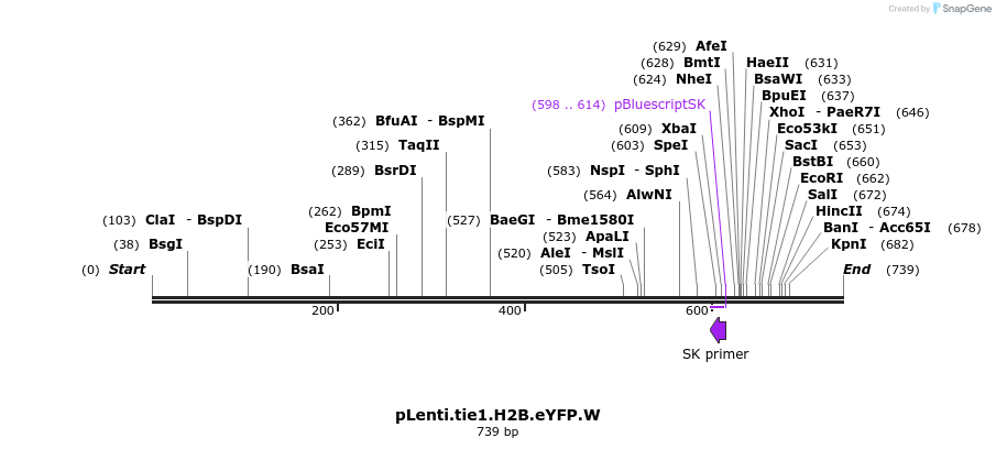 79797_map