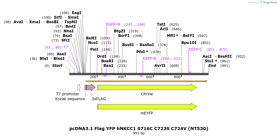 79799_map