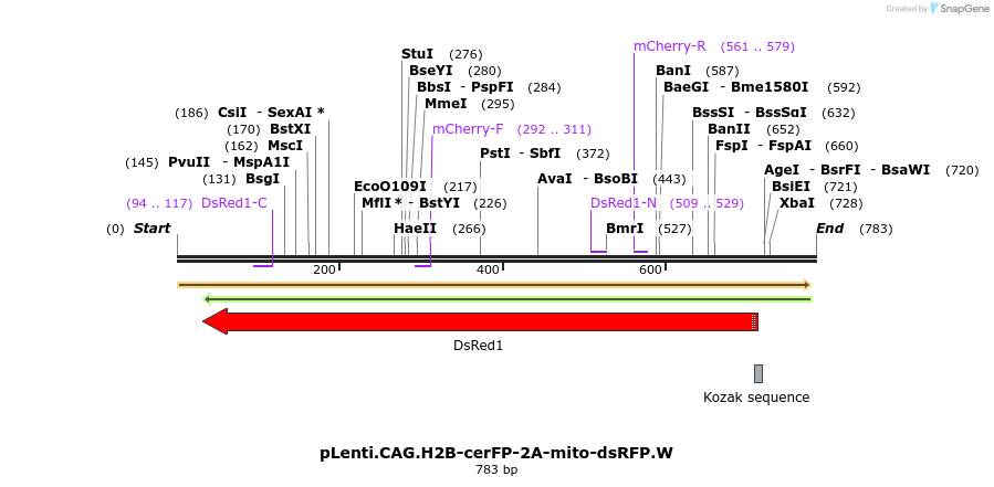 79800_map