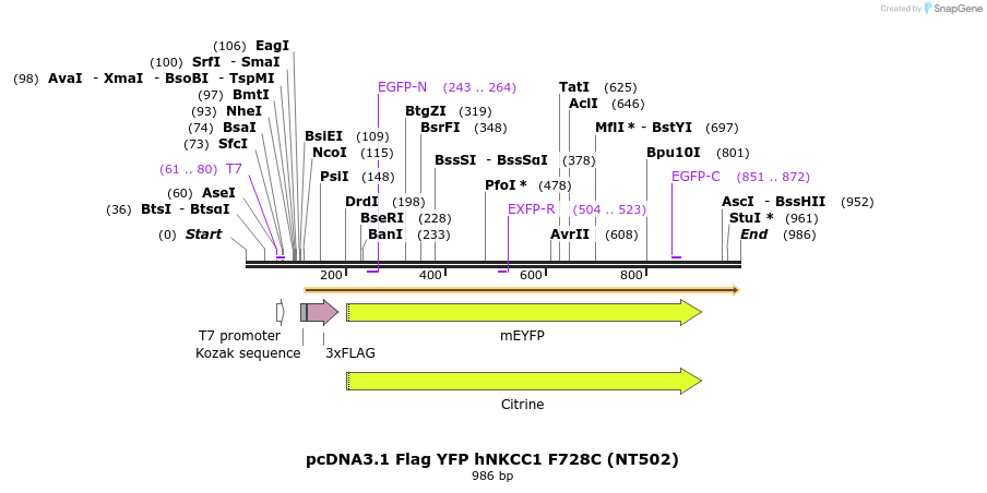 79802_map