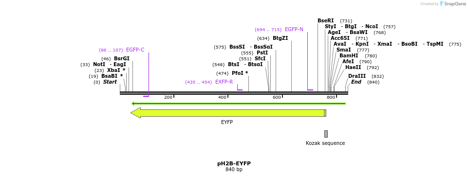 79803_map