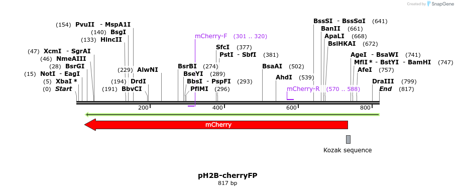 79805_map