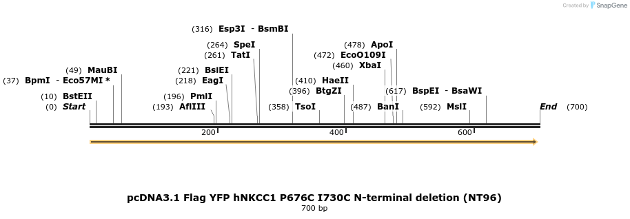 79813_map