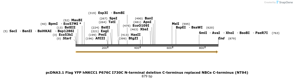 79815_map