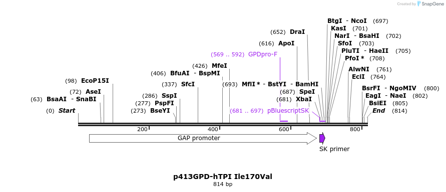 79819_map