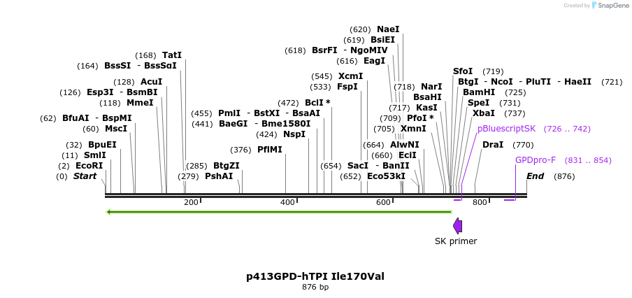 79820_map