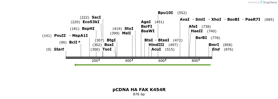 79821_map