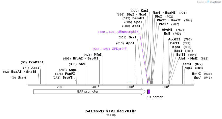 79822_map
