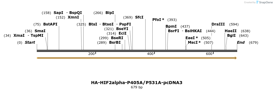 79823_map
