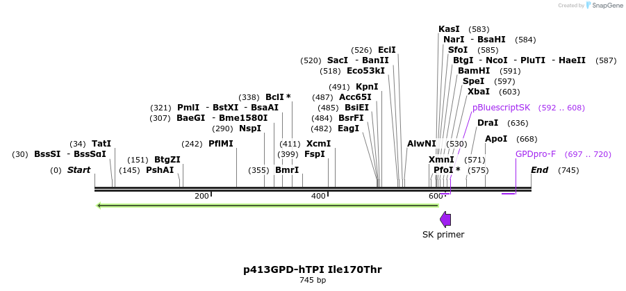 79824_map