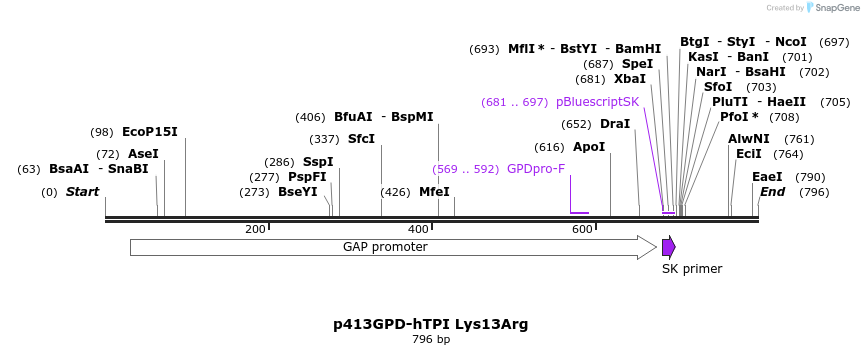 79826_map