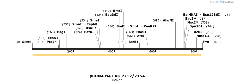 79828_map