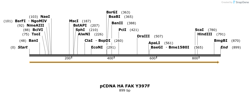 79829_map