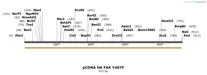 79830_map