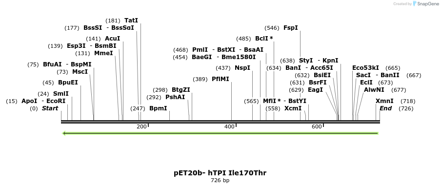 79831_map