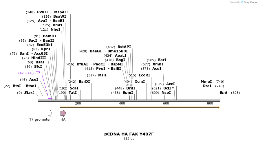 79832_map