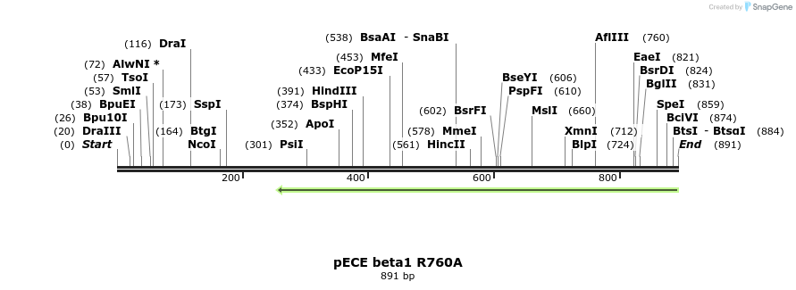 79835_map