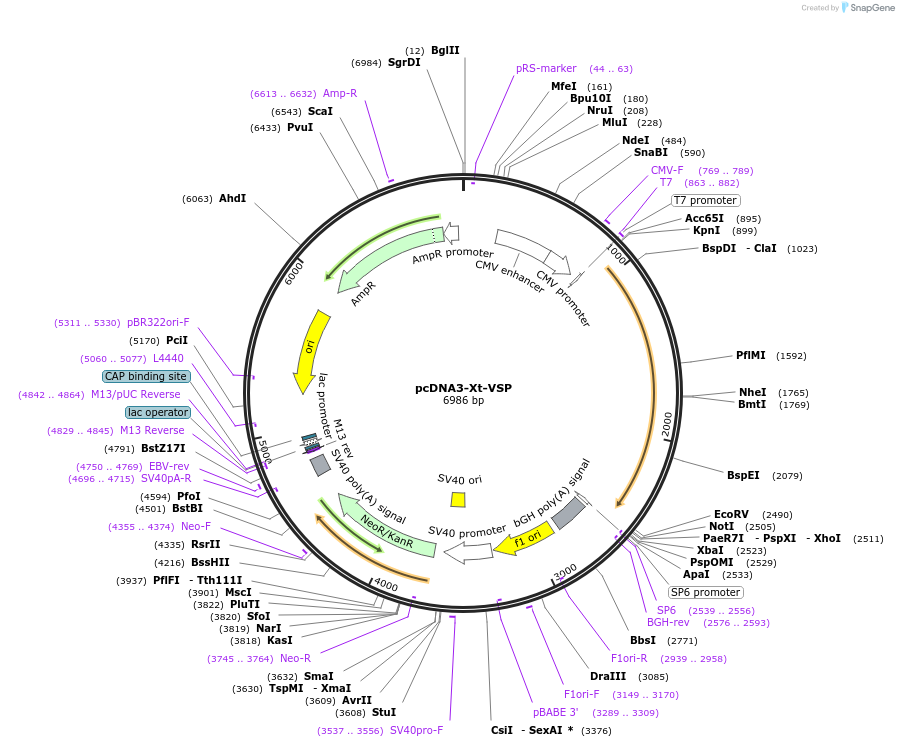79850_map