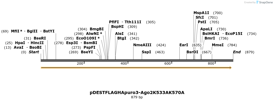 79866_map