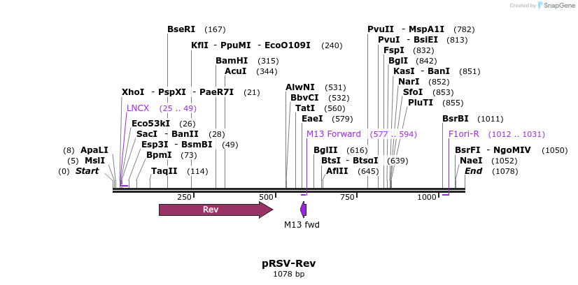 79868_map