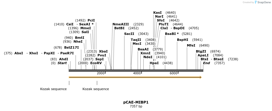 79871_map