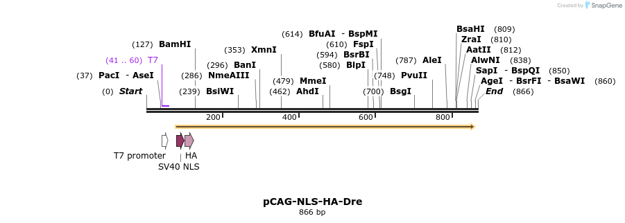 79878_map