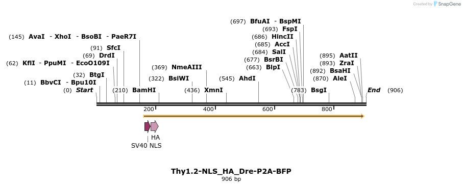 79881_map