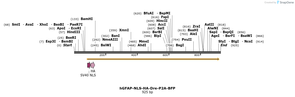 79883_map