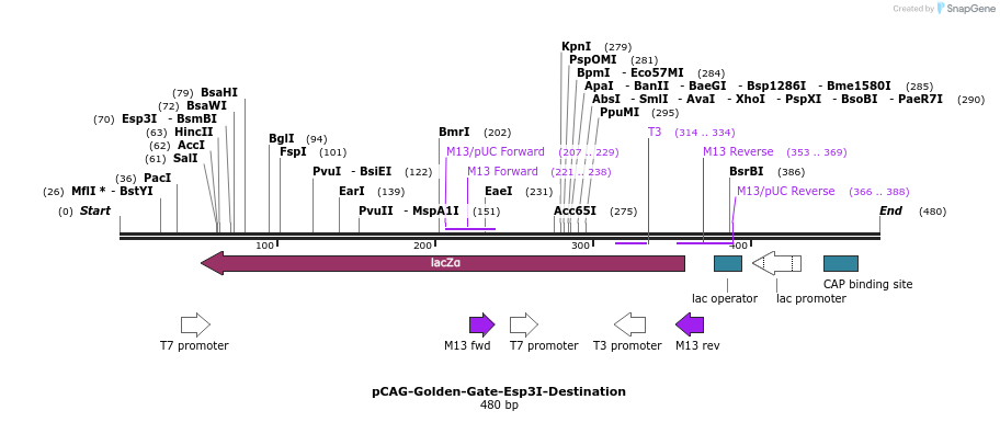 79884_map