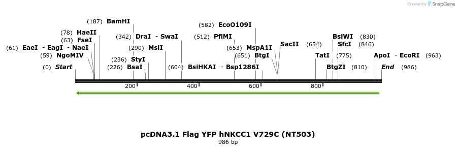 79893_map