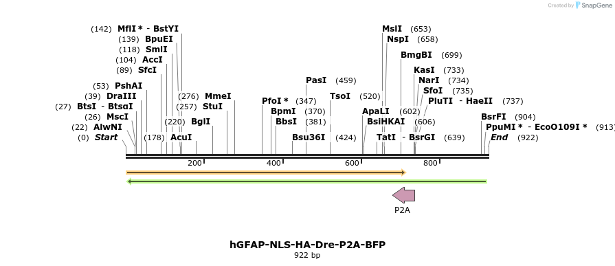 79899_map