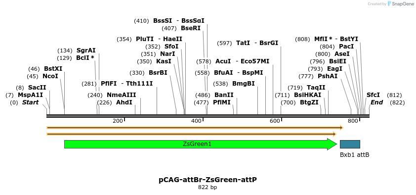 79901_map