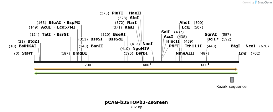 79903_map