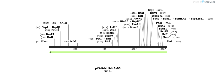 79907_map