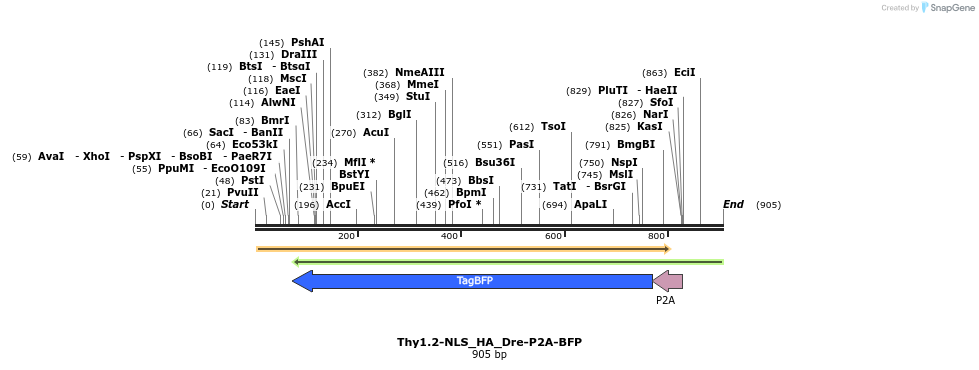 79916_map