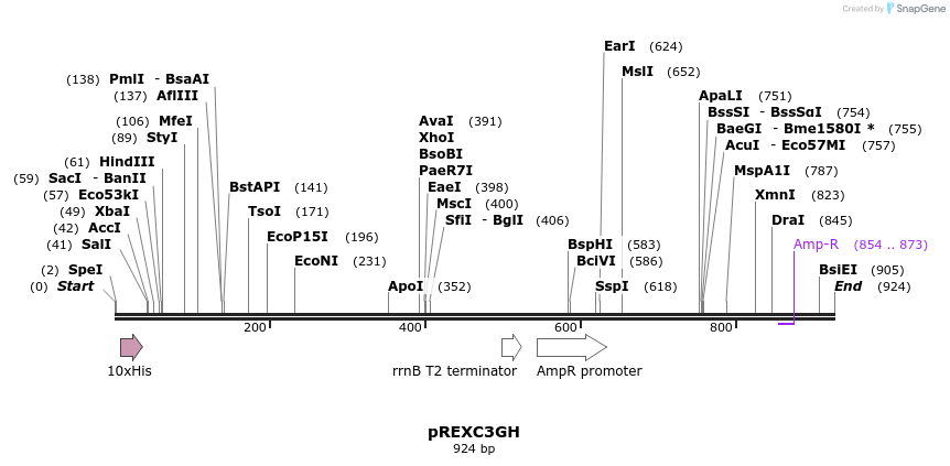 79919_map