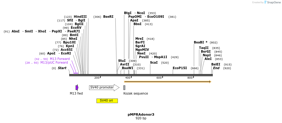 79920_map