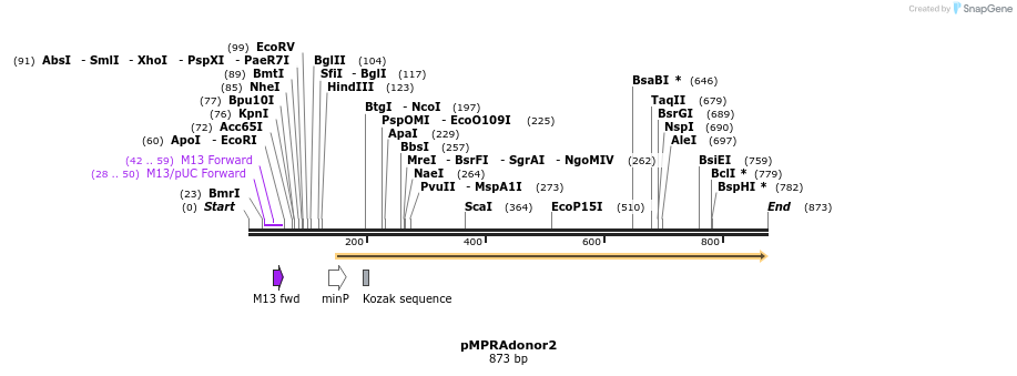 79923_map