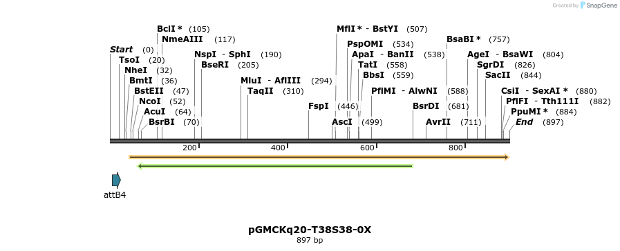 79927_map
