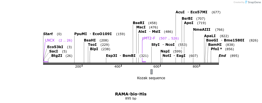 79934_map