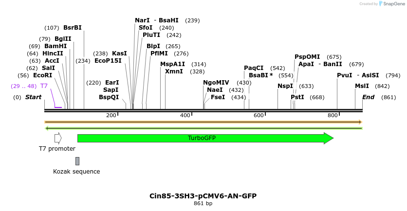 79936_map