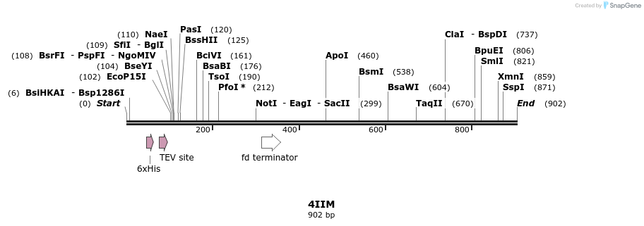 79951_map