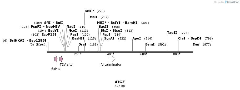 79952_map