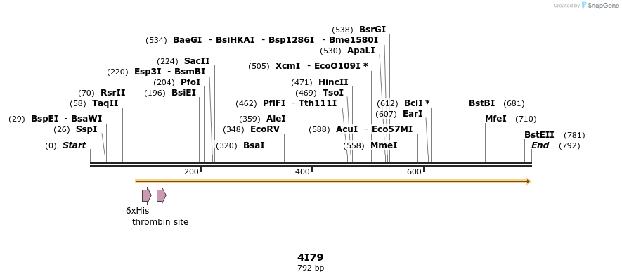 79953_map